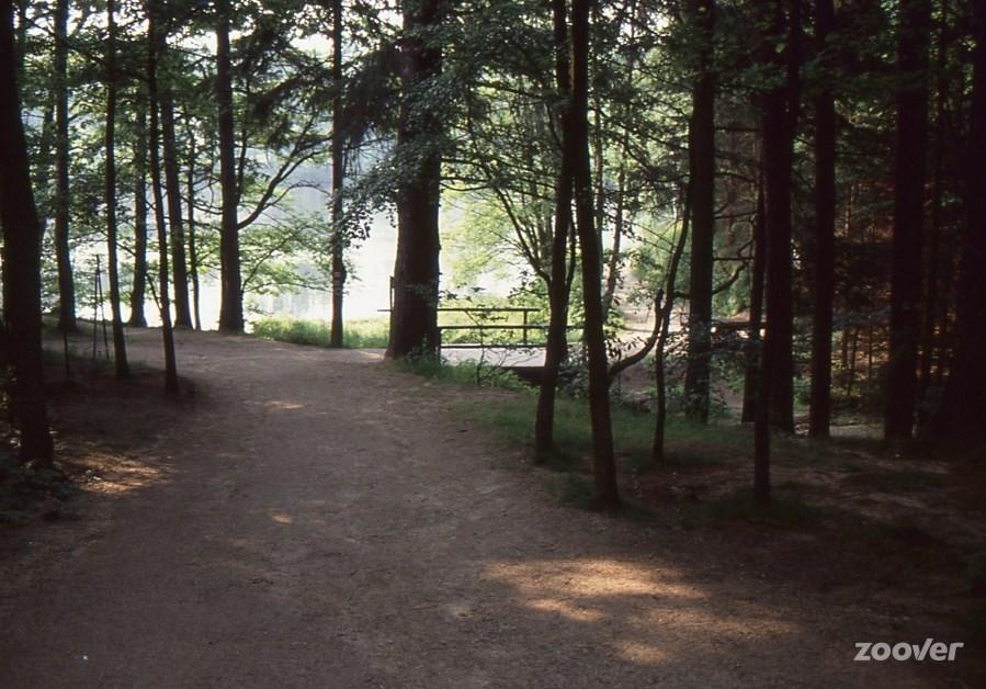 Hanko Martina Litschau Exteriér fotografie